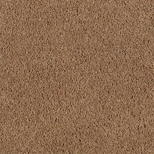 Ambrosina II  - Winter Leaf - Brown 38 oz. Triexta Texture Installed Carpet