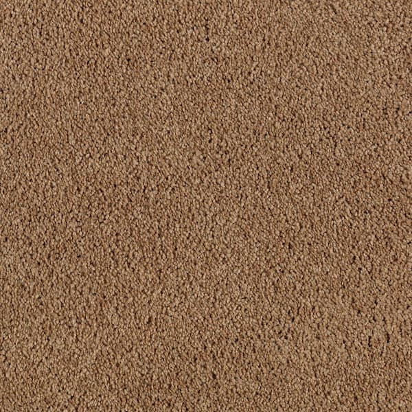 Ambrosina II  - Winter Leaf - Brown 38 oz. Triexta Texture Installed Carpet