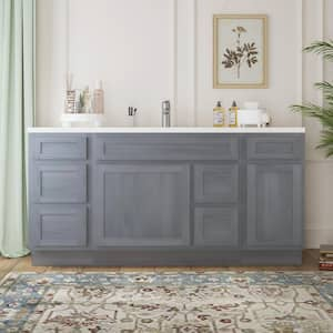 66 in. W x 21 in. D x 32.5 in. H Bath Vanity Cabinet without Top in Silver