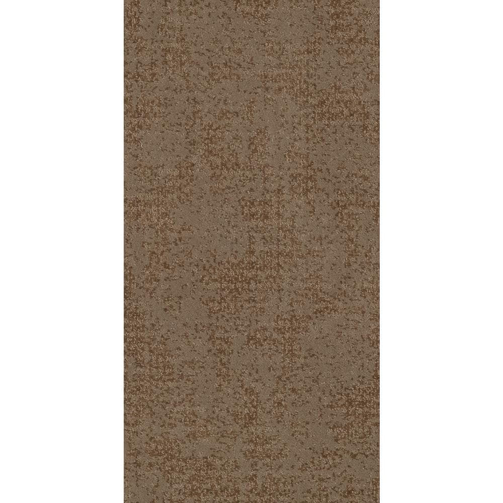 8 in. x 8 in. Pattern Carpet Sample - Elegant Dosinia - Color Pony Tail price history on PriceWatchPro