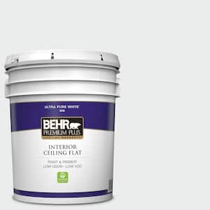 5 gal. #BWC-12 Vibrant White Ceiling Flat Interior Paint
