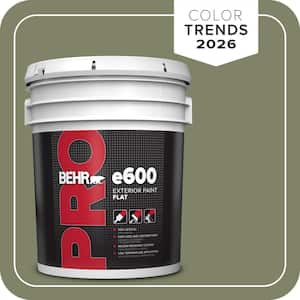 5 gal. #S380-6 Ecological Flat Exterior Paint