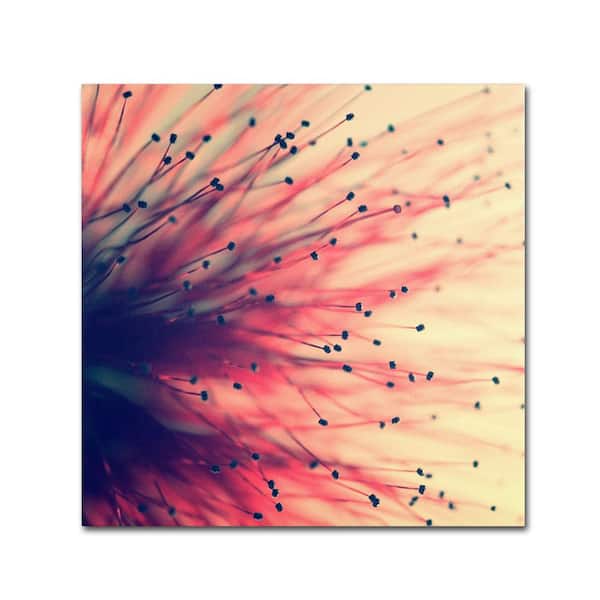 Trademark Fine Art 24 in. x 24 in. "Into the Future" by Beata Czyzowska Young Printed Canvas Wall Art