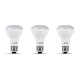 r20 led bulb daylight