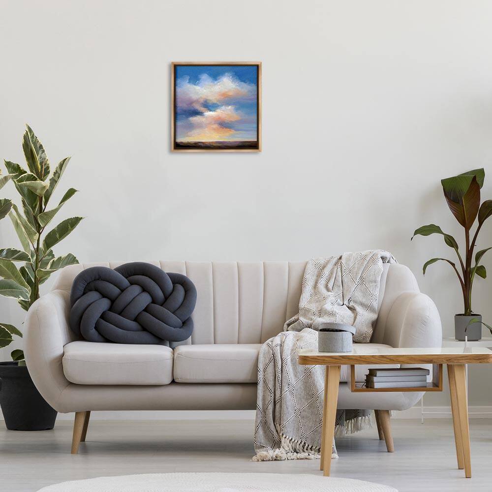 Luminous Sunset Clouds by Karen Hale Brown Floater Frame Nature Graphic Art Print 18 in. x 18 in. price history on PriceWatchPro