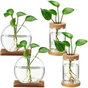Novelty Clear Glass Separate Desktop Plant Terrarium Glass Planter Vase with Wooden Lid and Bamboo Stand (4-Pieces)