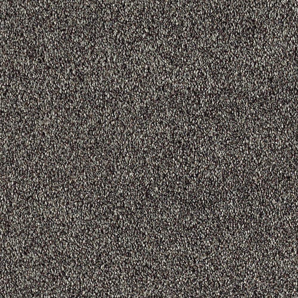 8 in. x 8 in. Texture Carpet Sample - Phenomenal I -Color Ashford price history on PriceWatchPro