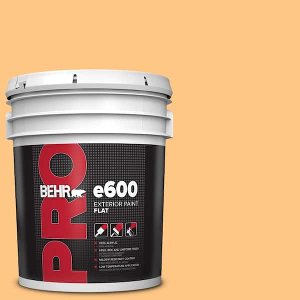 5 gal. #P240-4 Mango Tango Exterior Flat Paint