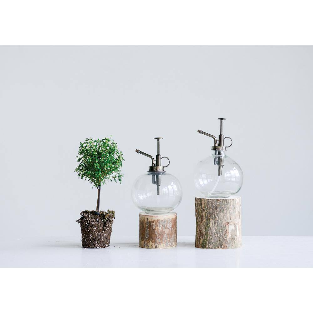 Clear Glass Plant Mister with Silver Metal Top