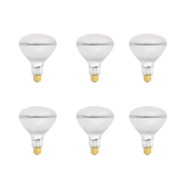 Feit Electric 400-Watt Soft White (2700K) R40 Dimmable Incandescent Pool and Spa Flood Light Bulb (6-Pack)