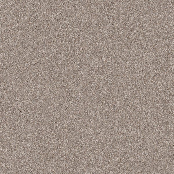 Home Decorators Collection Columbus I - Nutria - Gray 56.2 oz. SD Polyester Texture Installed Carpet