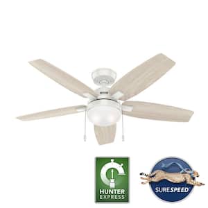 Antero 52 in. Hunter Express Indoor Fresh White Ceiling Fan with Light Kit Included