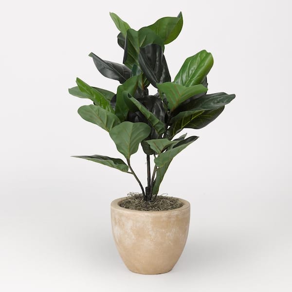 D&W Silks Fiddle Leaf Fig Plant in Round Tan Planter
