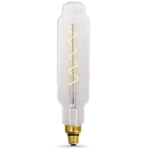 60-Watt Equivalent Bottle Edison LED Clear Glass Vintage Oversized Spiral Filament Light Bulb Warm White 2000K (1-Bulb)