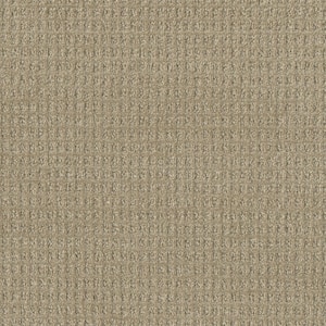 Amaryllis-Stargazer Brown-35 oz. SD Polyester Pattern Installed Carpet