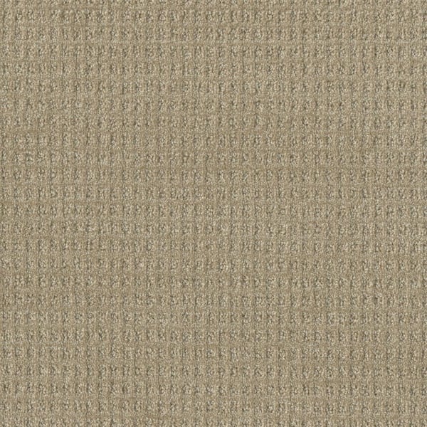 Home Decorators Collection Amaryllis-Stargazer Brown-35 oz. SD Polyester Pattern Carpet - Installation Required