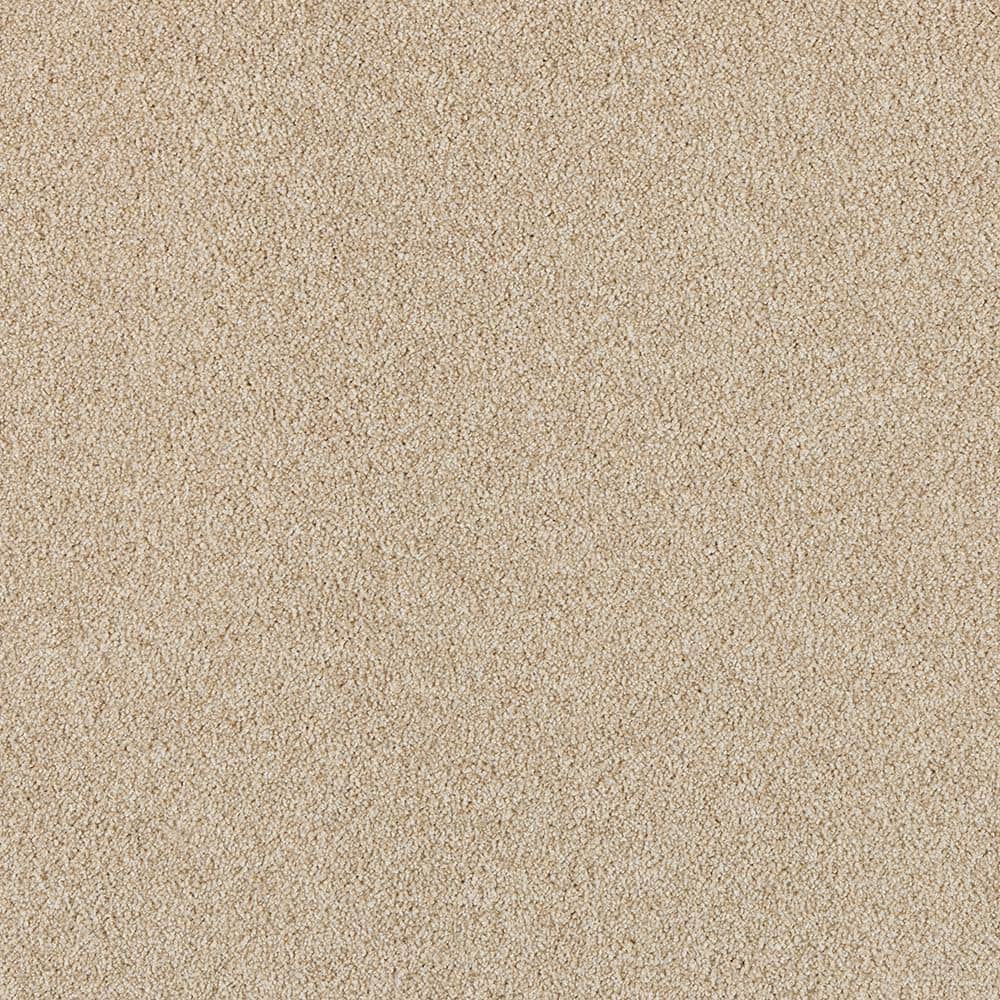 8 in. x 8 in. Texture Carpet Sample - Tailored Trends I -Color Royal price history on PriceWatchPro