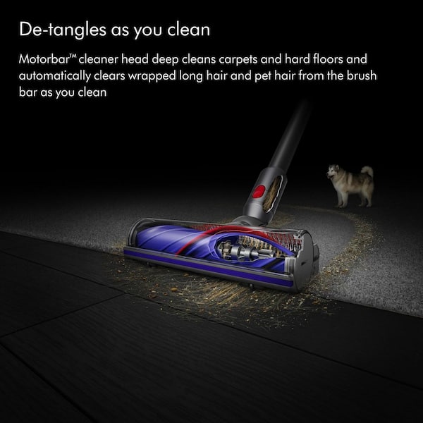 Reviews for Dyson Dyson V8 Cordless Stick Vacuum Cleaner