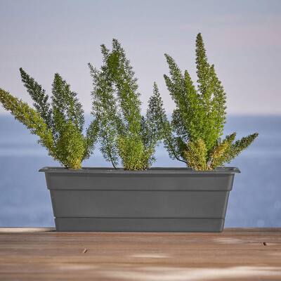 Dura Cotta 36 in. Charcoal Plastic Window Box Planter with Tray