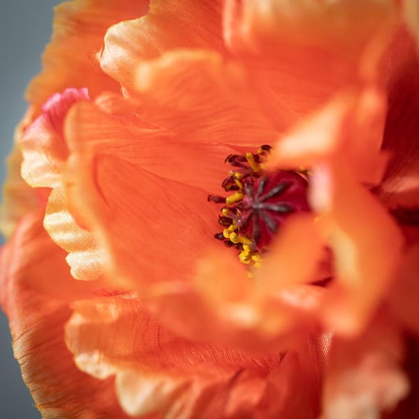 Orange Real Touch Fake Poppy Flower - 29