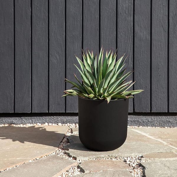 BIEN POT BLACK エディション10 Large Black Plastic Indoor/Outdoor Planter (10 in. W x 10.25 in. H