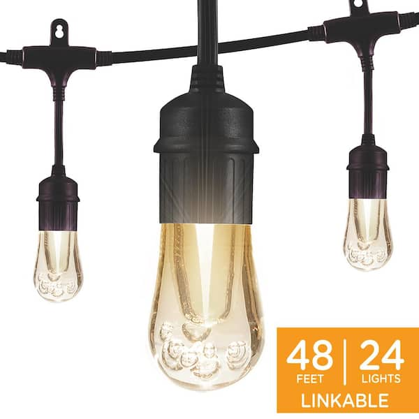 Enbrighten 24 Bulbs 48 ft. Outdoor/Indoor Black Vintage LED String Lights, Acrylic Edison Bulbs