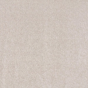 Silver Mane I  - Quiet Taupe - Brown 50 oz. Triexta Texture Installed Carpet