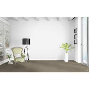 Wandering Scout - Dearborn - Beige 28 oz. SD Polyester Pattern Installed Carpet