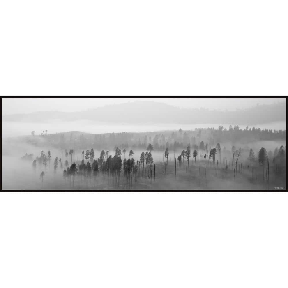 Lost in the Woods by Marmont Hill Floater Framed Canvas Nature Art Print 10