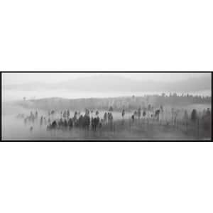 "Lost in the Woods" by Marmont Hill Floater Framed Canvas Nature Art Print 15 in. x 45 in.