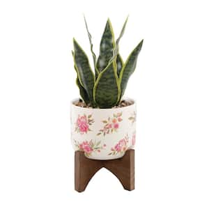 12 in. Artificial Faux Snake Plant in Flower Print White Ceramic Pot on Wood Stand