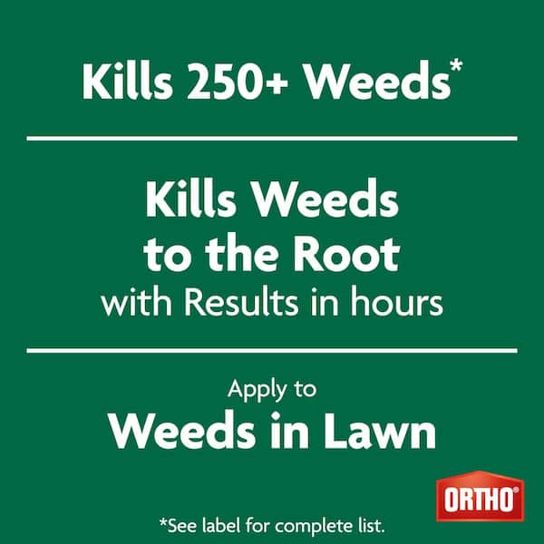 Weed B-gon Lawn Weed Killer with Trigger Sprayer, 1 gal., Kills Dandelion and Clover, Rainproof in 1 Hour