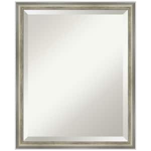 Salon Scoop Silver 17.75 in. W x 21.75 in. H Beveled Casual Rectangle Wood Framed Wall Mirror in Silver
