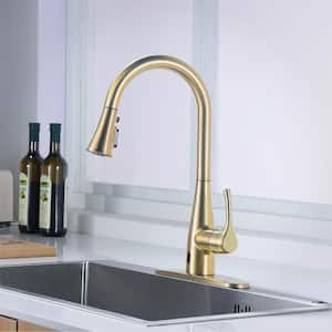 Marcie Single-Handle Integrated Pull Down Touchless Kitchen Faucet in Matte Gold