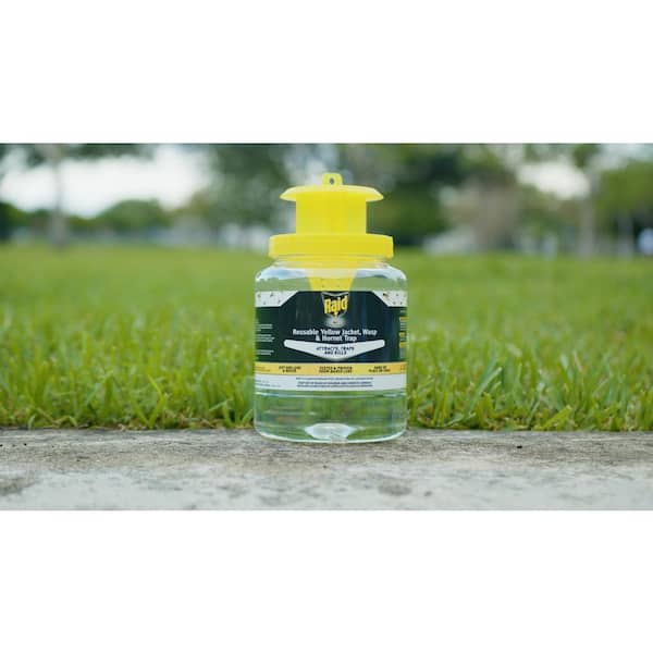 Raid Yellow Jacket, Wasp & Hornet Trap, Disposable - 0.34 oz / 10 ml