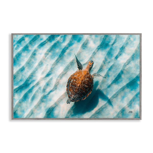 Stupell Industries Sandbar Sea Turtle by Max Blakesberg Studios Gray Framed Animal Giclee Art Print 12 in. x 18 in.