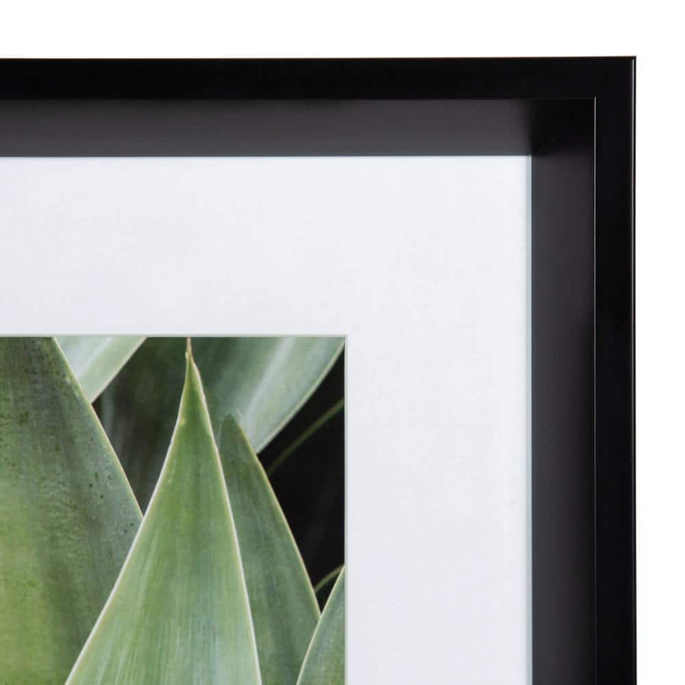 Green Succulent Leaves Framed Canvas Print Set