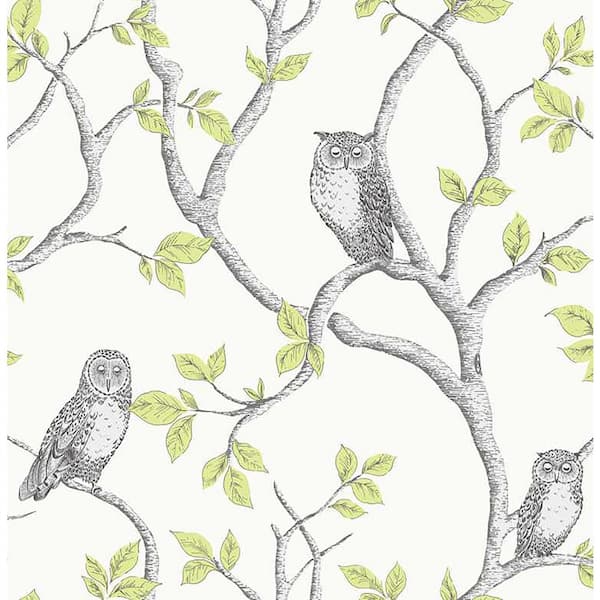 Fine Decor Linden Green Owl Green Paper Peelable Roll (Covers 56.4 sq. ft.)