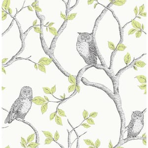 Linden Green Owl Green Wallpaper Sample