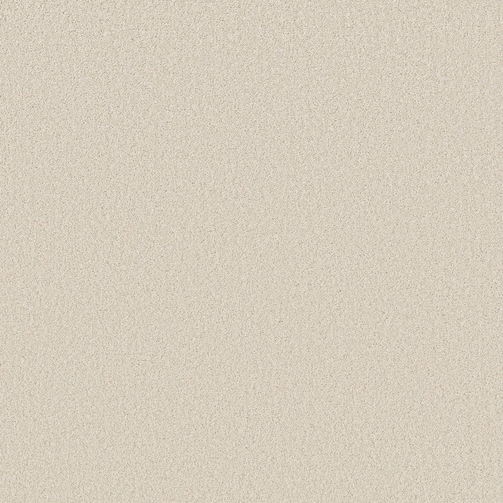 8 in. x 8 in. Texture Carpet Sample - Vignette Velvet II - Color Shoreline price history on PriceWatchPro