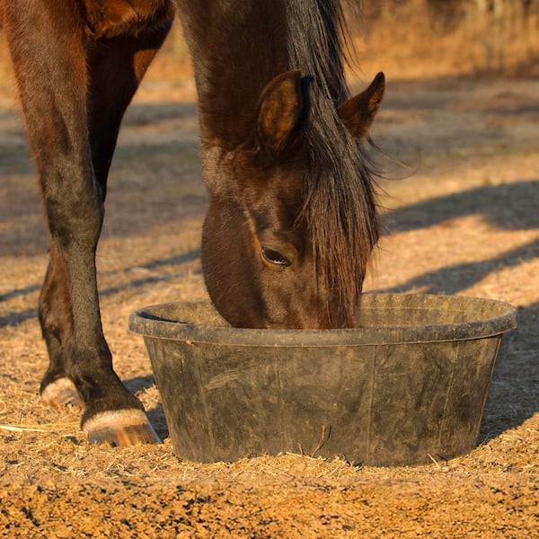 33 lb. Bag XTRA Equine Supplement with Pre-Biotic, Calcite, Joint and Gastric Support, for Newborn to Senior Horses