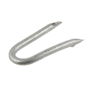 3/4 in. Staples Hot Dipped Galvanized 1 lb. (Approximately 475-Pieces)
