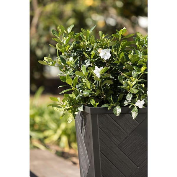 Keter Tesoro 14 in. L x 14 in. W x 22 in. H 51 qts. Black