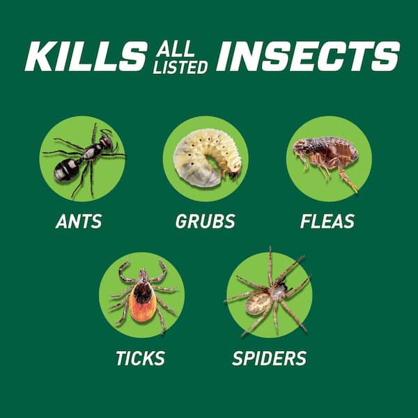 Ortho - Bug B-gon Lawn Insect Killer 10 lbs. for Above and Below the Ground