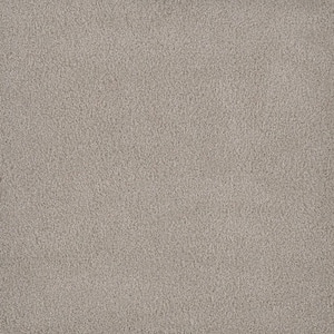 First Class II - Daystar - Beige 50 oz. SD Polyester Texture Installed Carpet