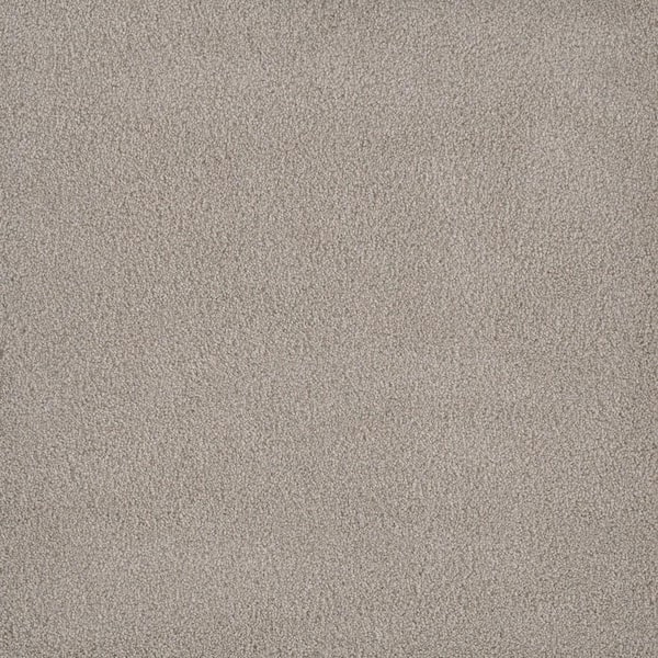 First Class II - Daystar - Beige 50 oz. SD Polyester Texture Installed Carpet