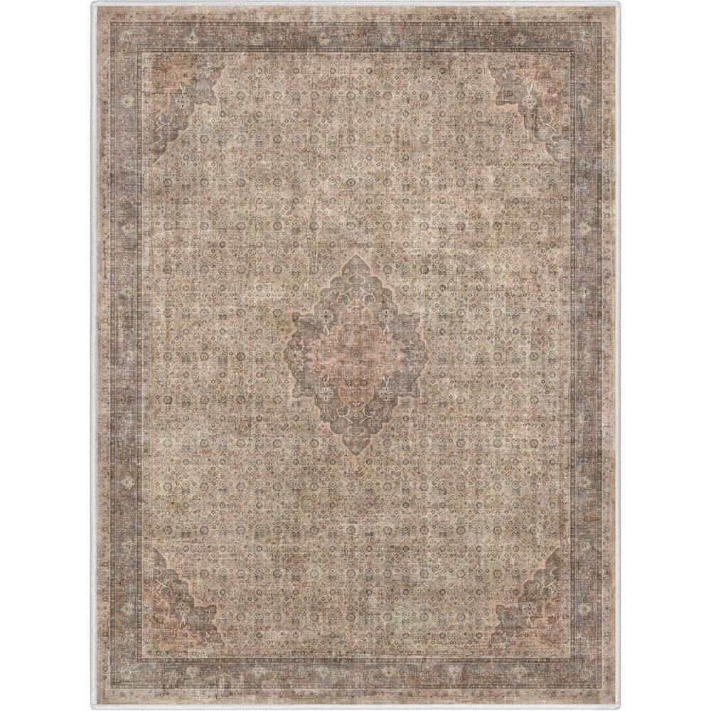Asha Lilith Vintage Beige Brown Chenille Oriental 3' x 5' Area Rug