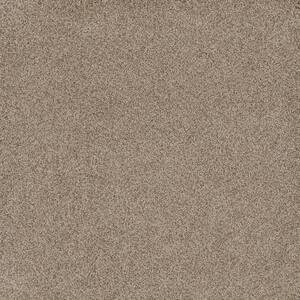Delight II - Relish - Beige 65 oz. SD Polyester Texture Installed Carpet
