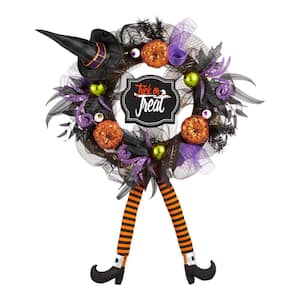 20 in. Trick-Or-Treat Witch Mesh Halloween Wreath