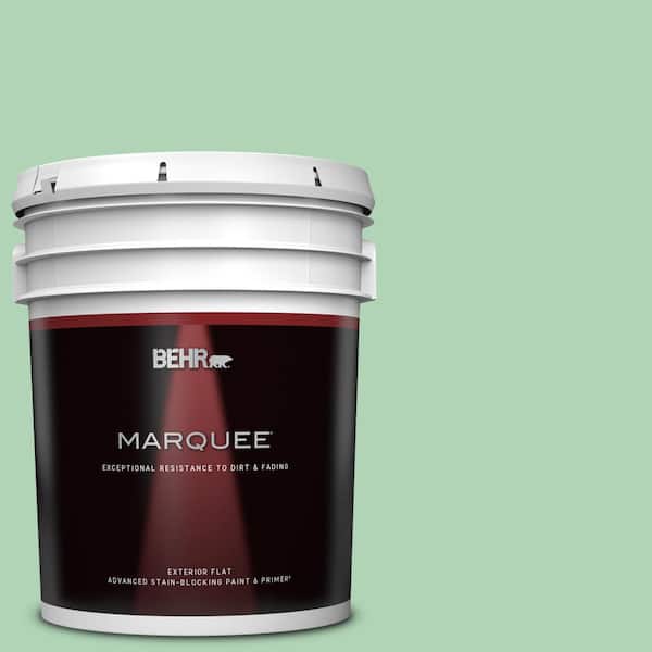 BEHR MARQUEE 5 gal. #M410-3 Enchanted Meadow Flat Exterior Paint & Primer